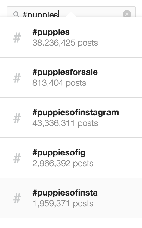 Uso de Instagram Top Hashtags Instagram brinda recomendaciones de hashtags en cachorros