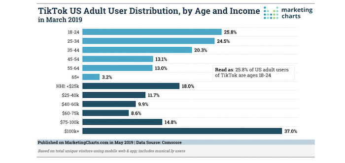 vender productos en TikTok: desglose de usuarios por edad / ingresos 