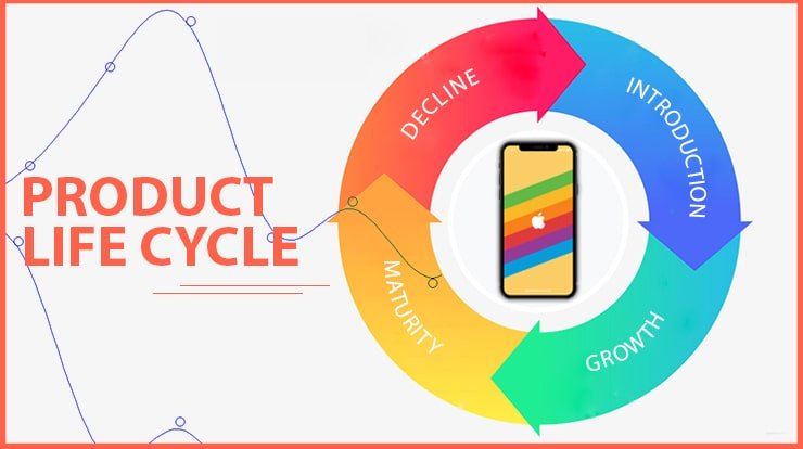 Ciclo de vida del producto: que es, las 5 etapas y ejemplos