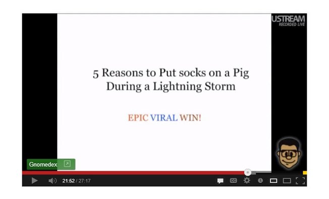 cómo volverse viral - calcetines de cerdo flash