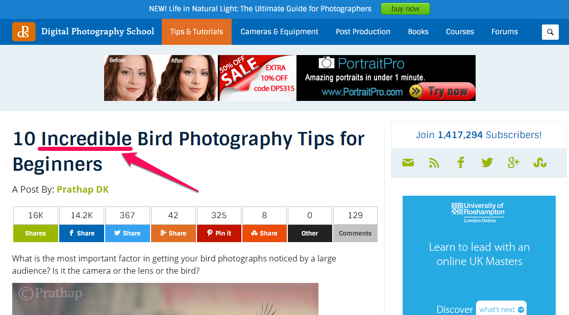 Una captura de pantalla que dice "10 consejos de fotografía de aves increíblemente para principiantes" como título. "Width =" 558 "height =" 309