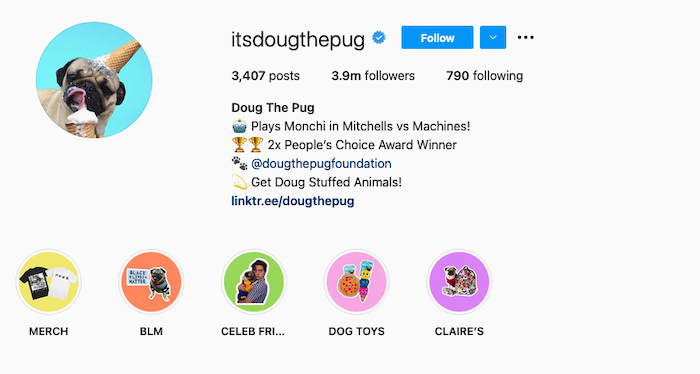 Cómo ganar dinero en Instagram como Doug the Pug